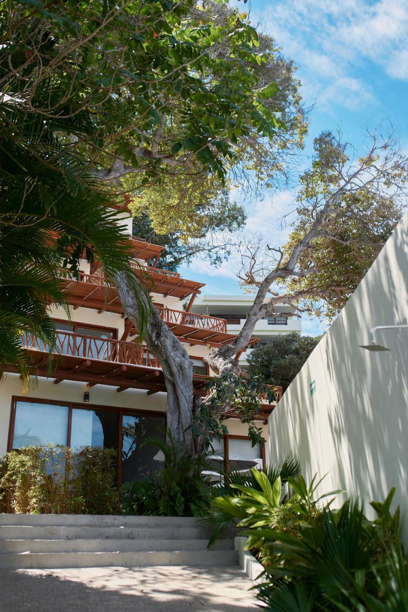 Ysuri Sayulita - Beachfront Hotel Екстериор снимка